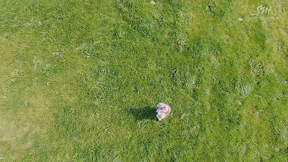 I