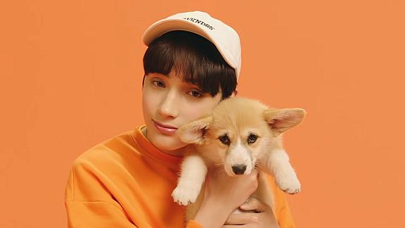 Cat & Dog