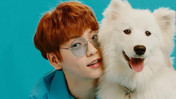 Cat & Dog