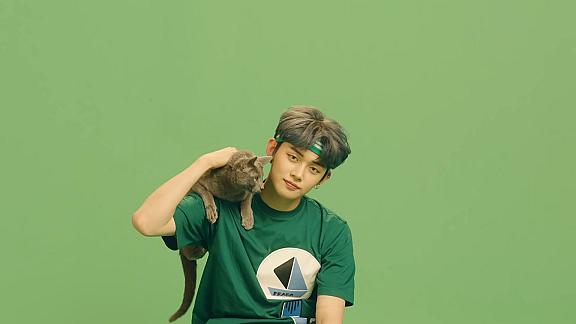 Cat & Dog